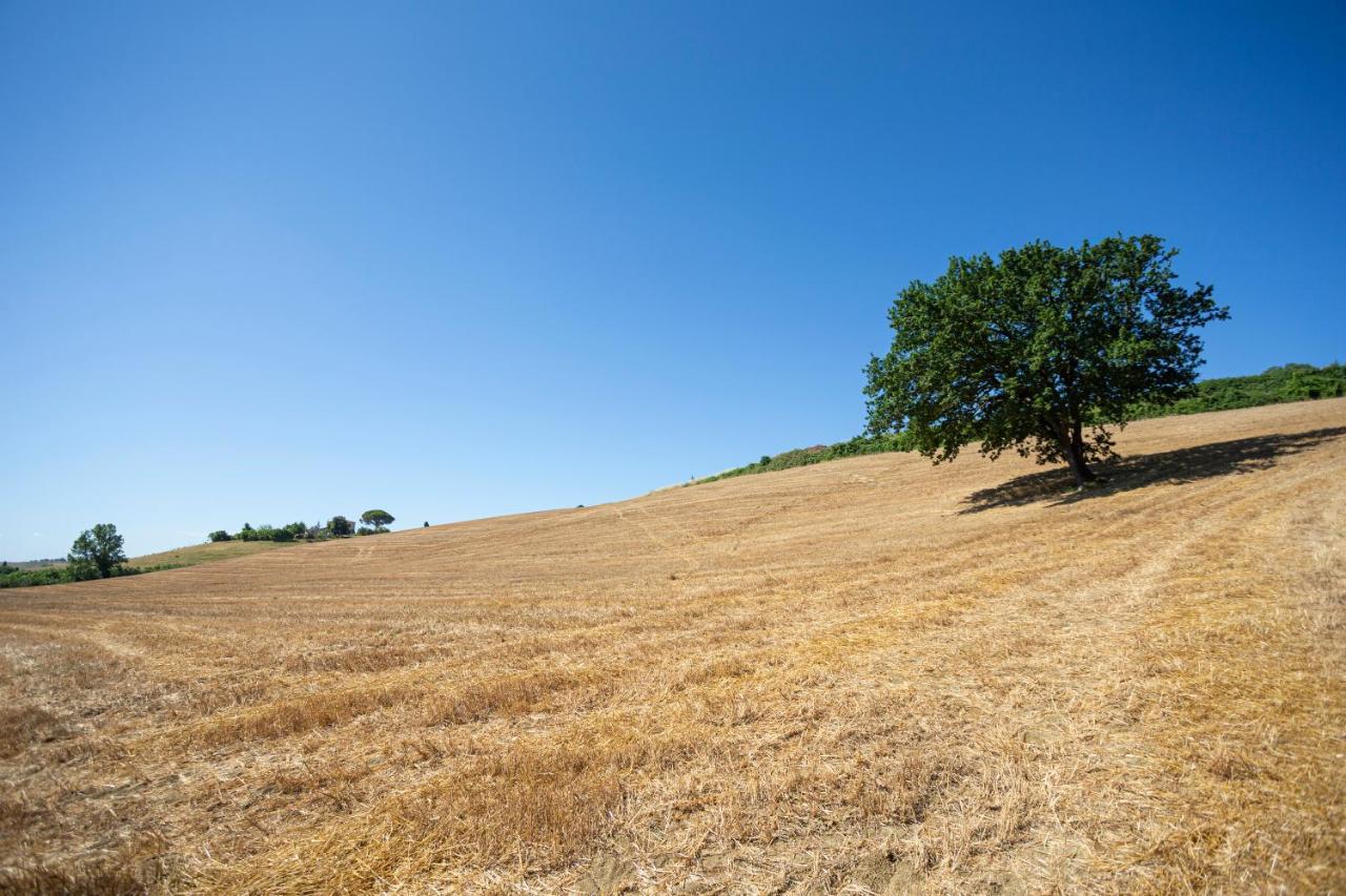 Agriturismo Cappellese Castelnuovo della Misericordia Εξωτερικό φωτογραφία