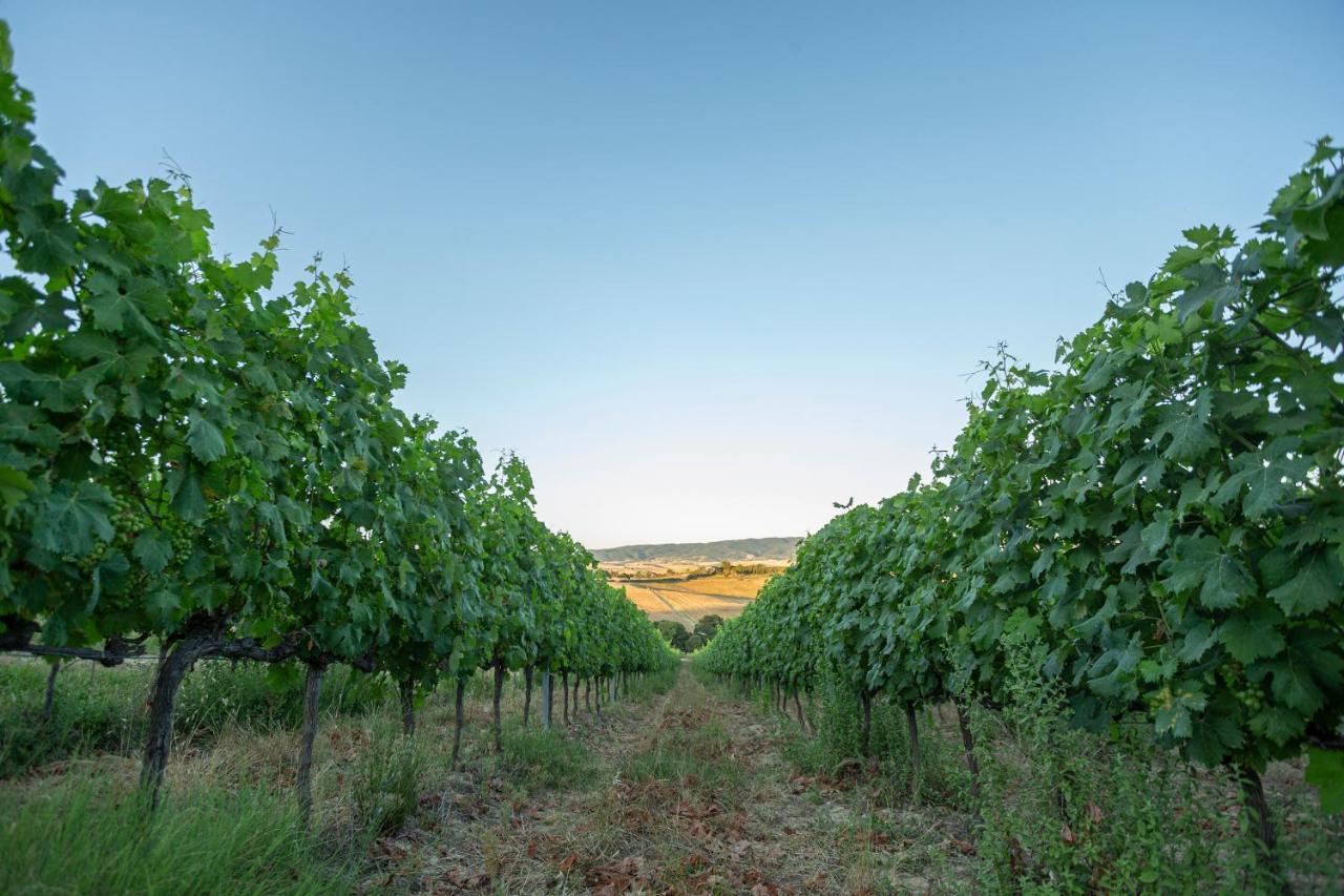 Agriturismo Cappellese Castelnuovo della Misericordia Εξωτερικό φωτογραφία