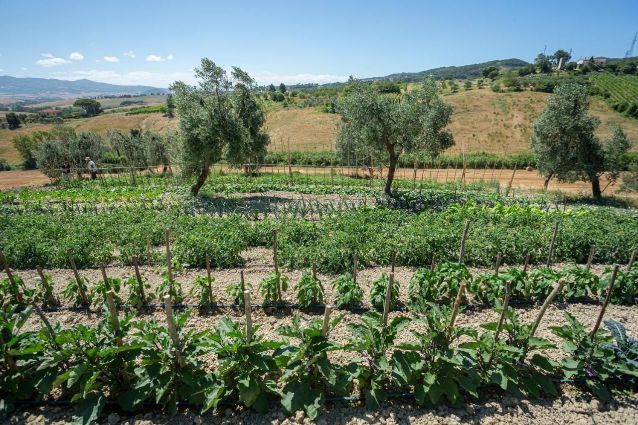 Agriturismo Cappellese Castelnuovo della Misericordia Εξωτερικό φωτογραφία