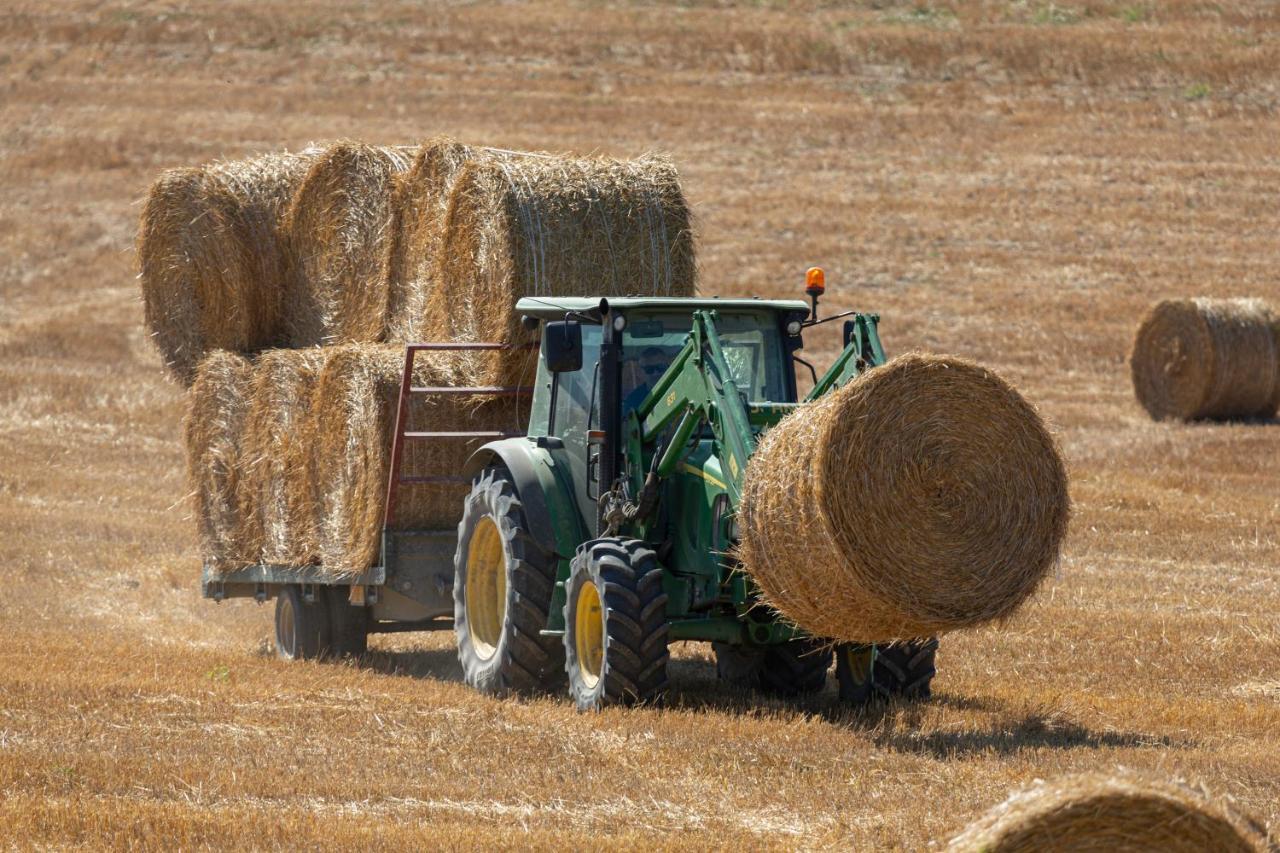 Agriturismo Cappellese Castelnuovo della Misericordia Εξωτερικό φωτογραφία