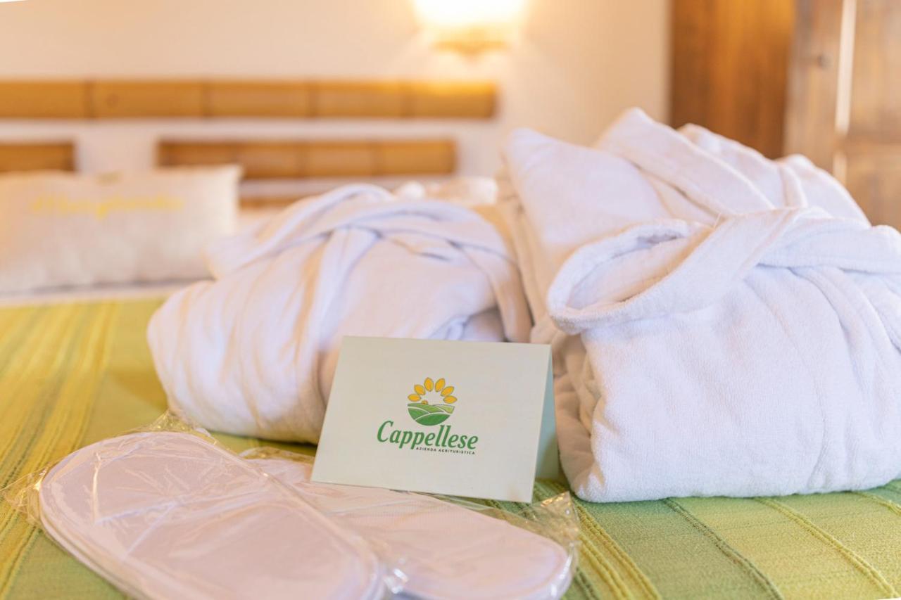 Agriturismo Cappellese Castelnuovo della Misericordia Εξωτερικό φωτογραφία