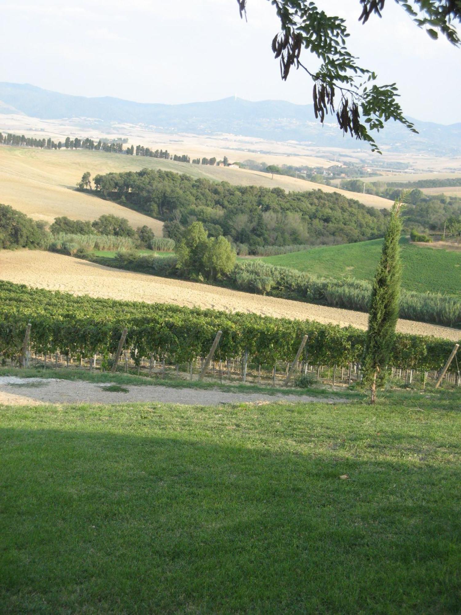Agriturismo Cappellese Castelnuovo della Misericordia Εξωτερικό φωτογραφία