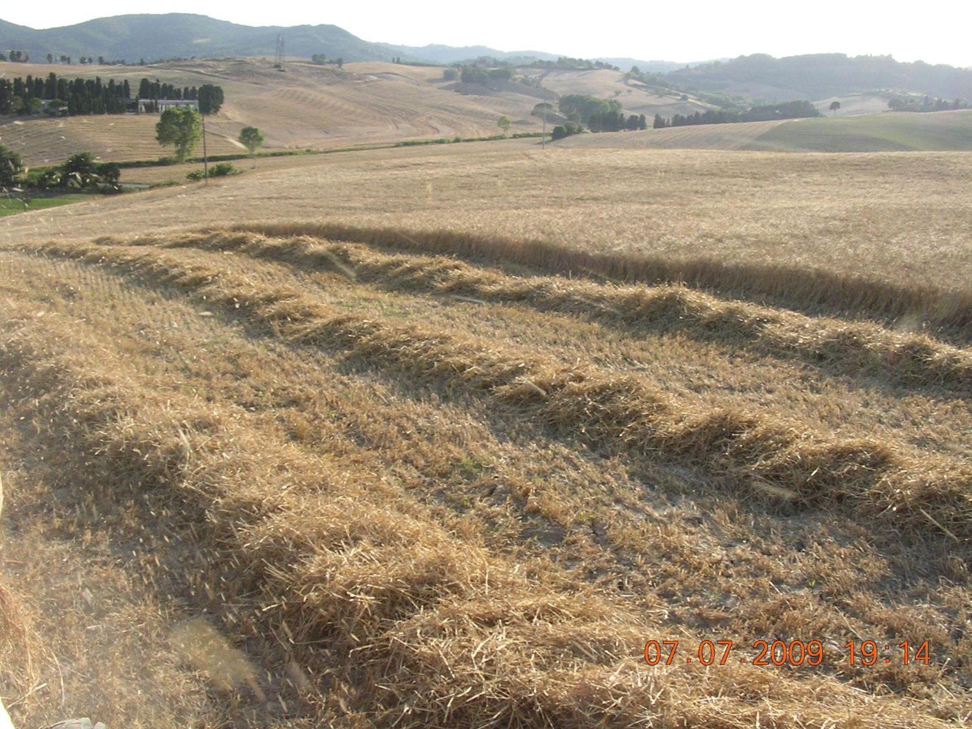 Agriturismo Cappellese Castelnuovo della Misericordia Εξωτερικό φωτογραφία